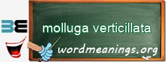 WordMeaning blackboard for molluga verticillata